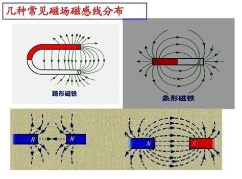 磁場的意思|磁場